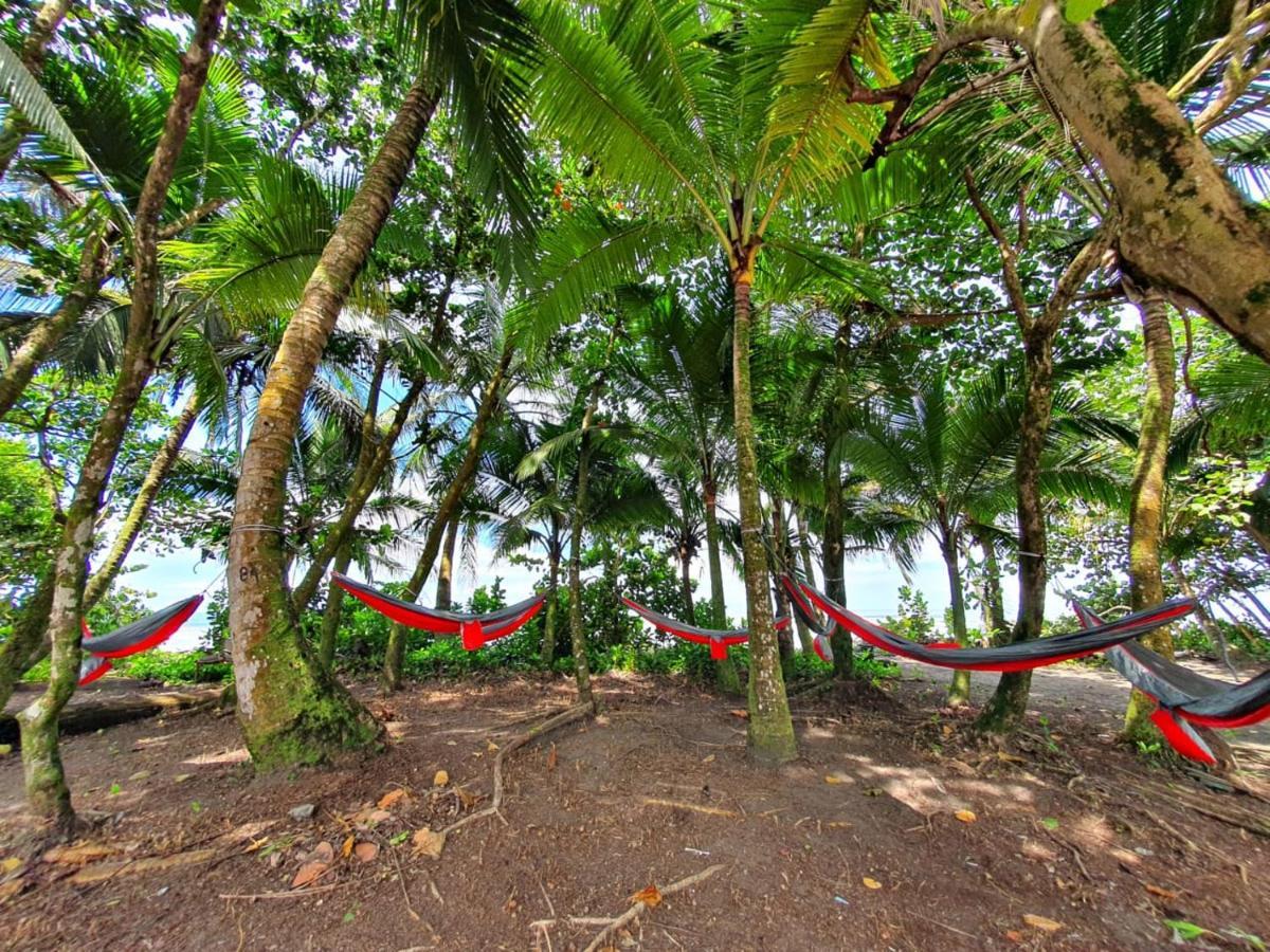 Caribbean View Apartment Tortuguero Luaran gambar
