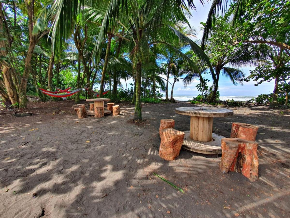 Caribbean View Apartment Tortuguero Luaran gambar