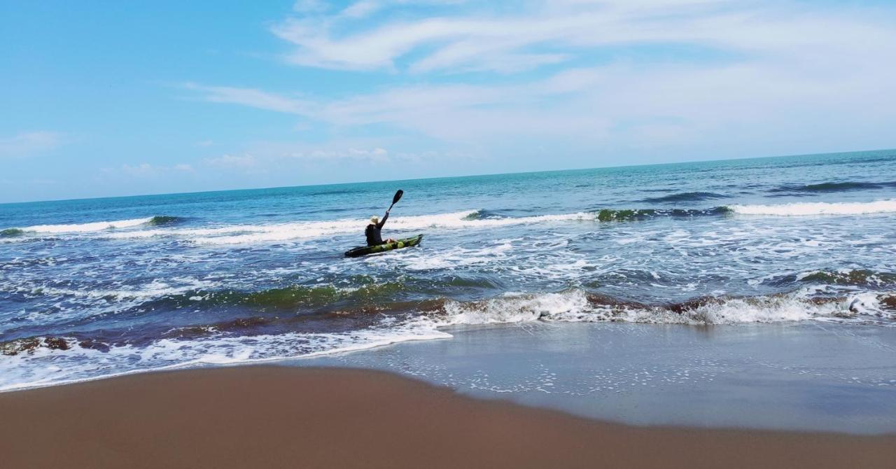 Caribbean View Apartment Tortuguero Luaran gambar
