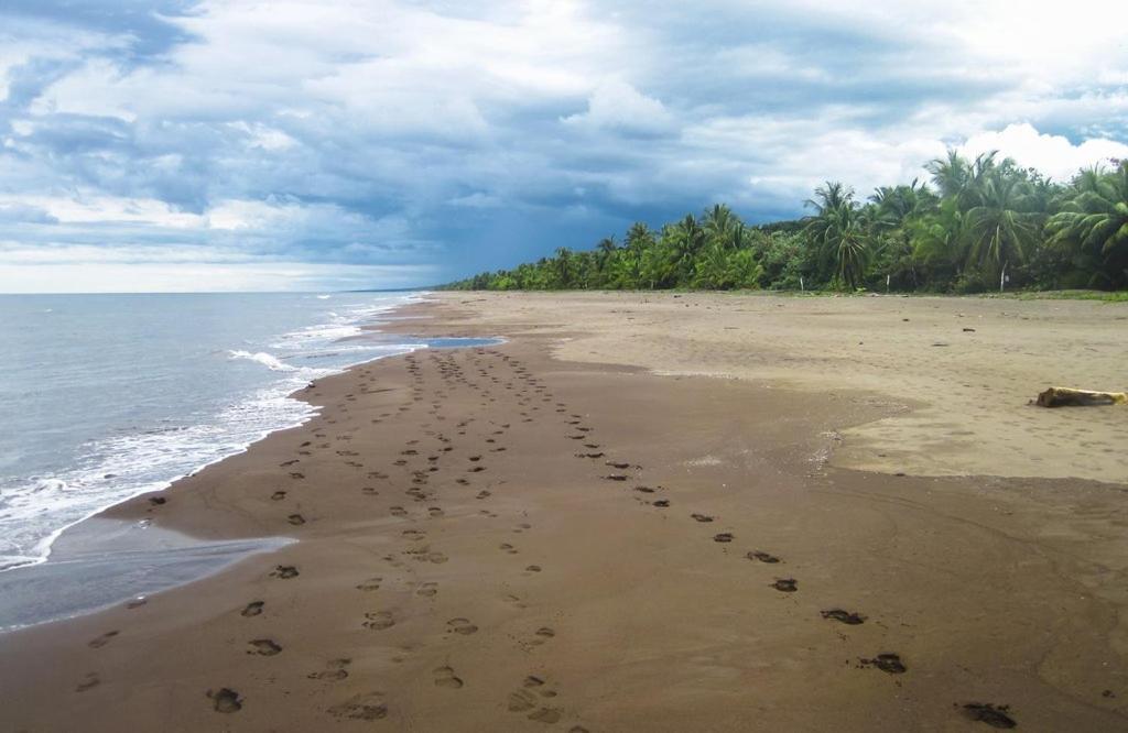 Caribbean View Apartment Tortuguero Luaran gambar