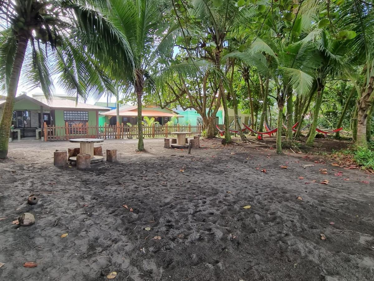 Caribbean View Apartment Tortuguero Luaran gambar