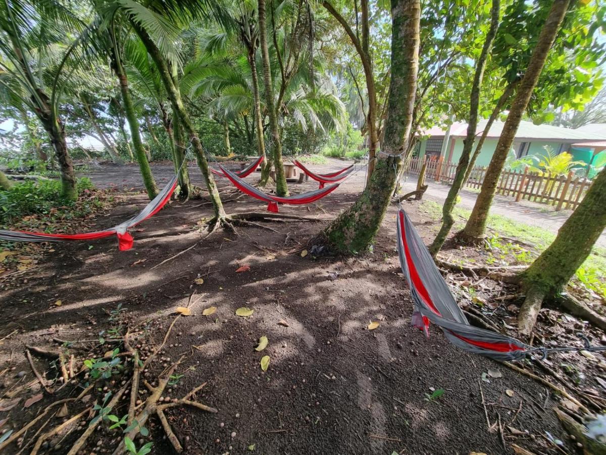 Caribbean View Apartment Tortuguero Luaran gambar