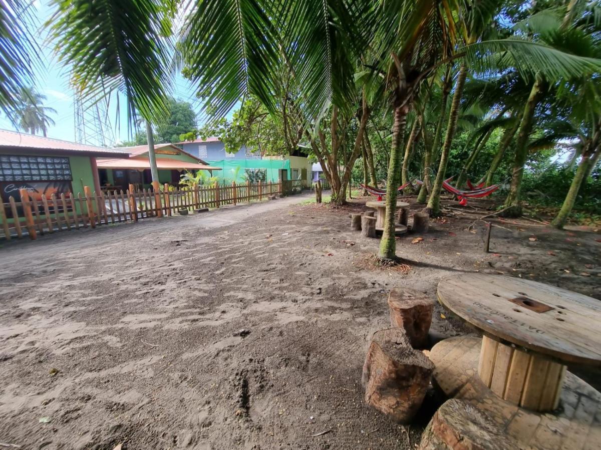 Caribbean View Apartment Tortuguero Luaran gambar
