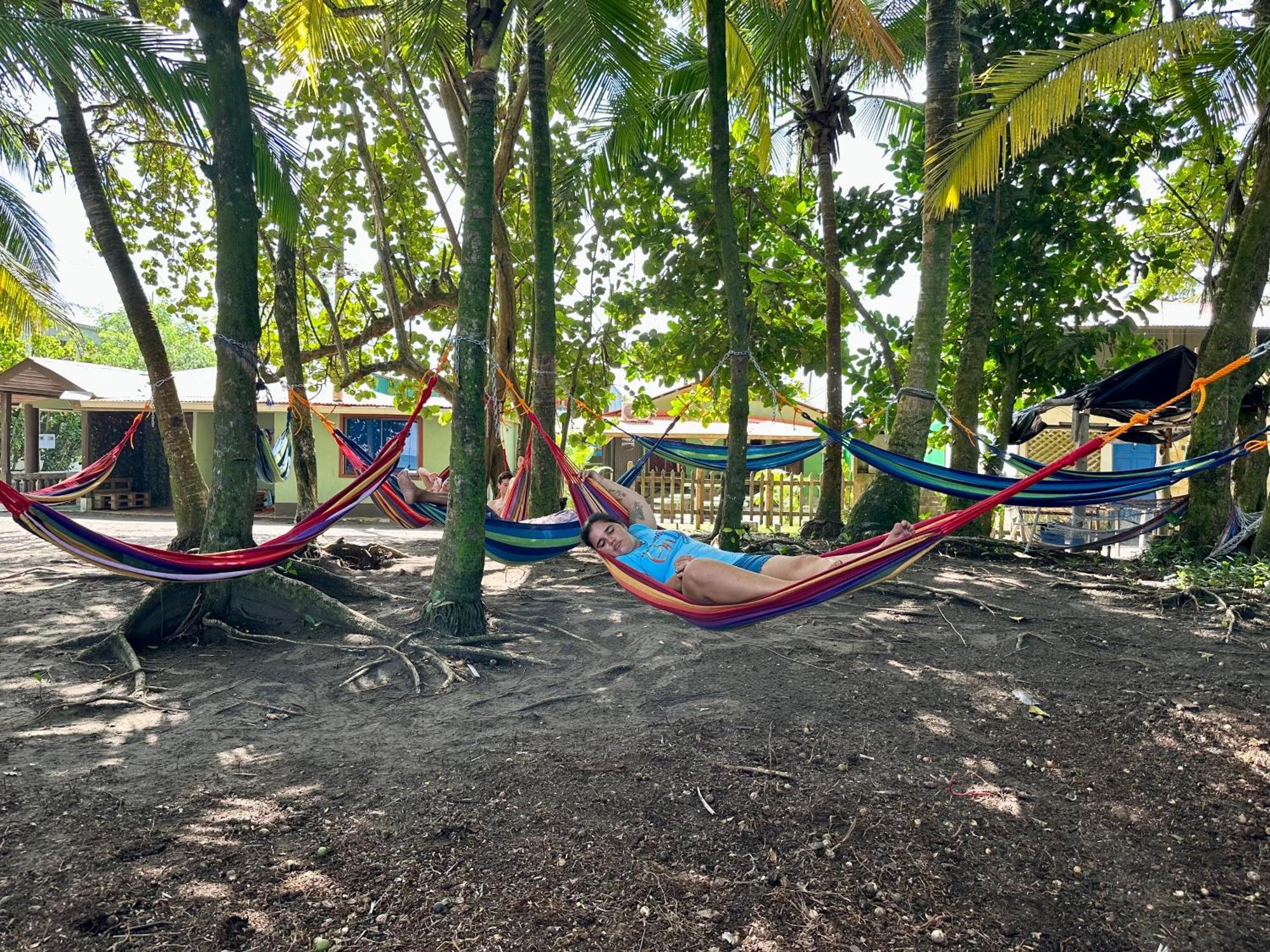 Caribbean View Apartment Tortuguero Luaran gambar