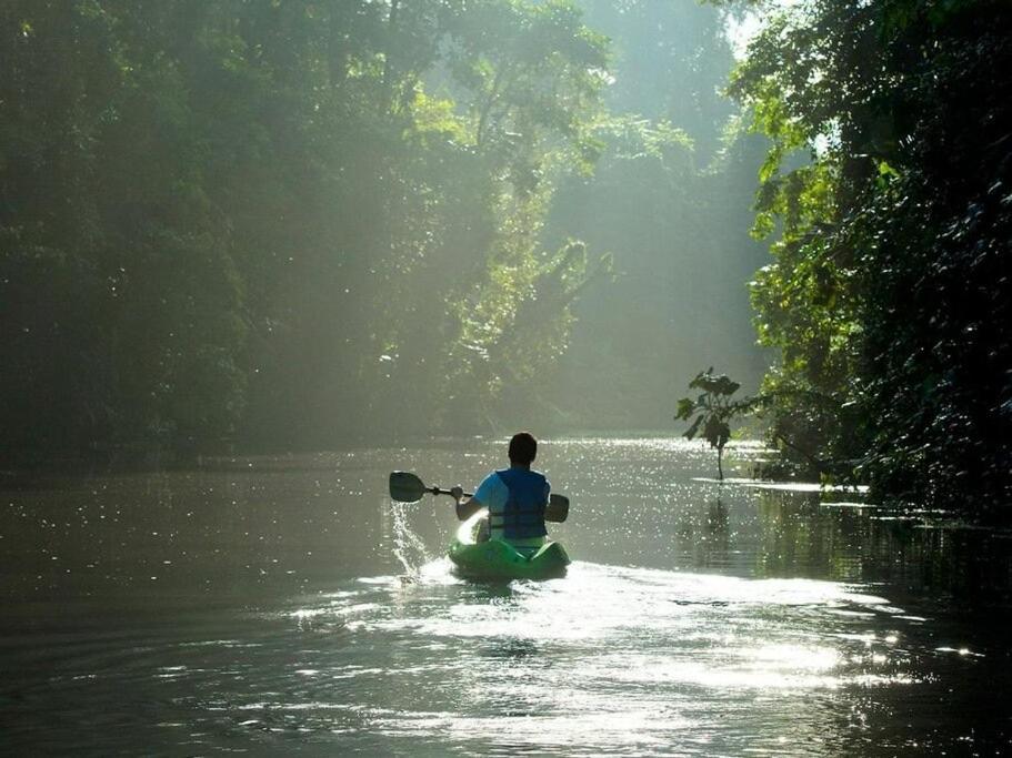 Caribbean View Apartment Tortuguero Luaran gambar