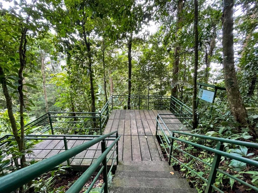 Caribbean View Apartment Tortuguero Luaran gambar
