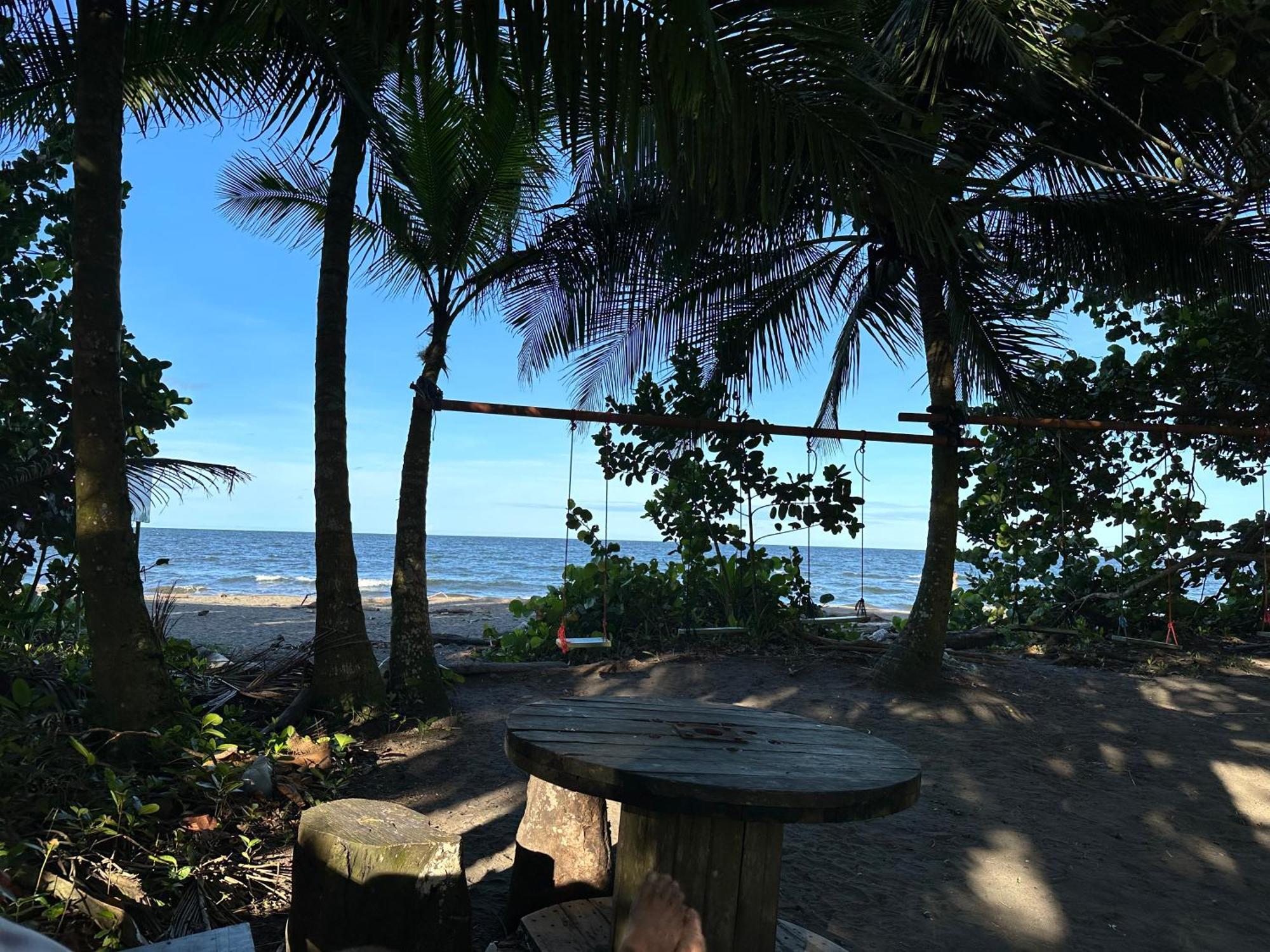 Caribbean View Apartment Tortuguero Luaran gambar